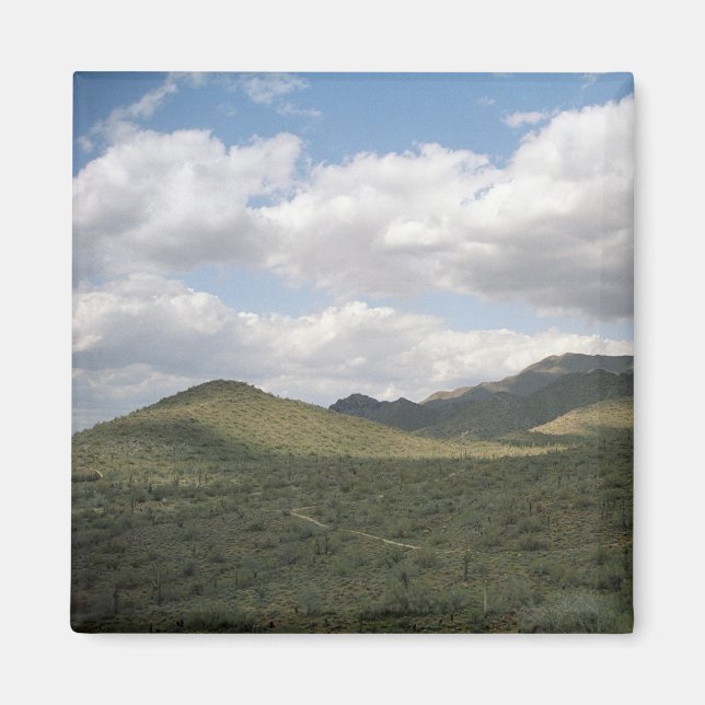 Cowyboy Skyline Desert Refrigerator Magnet (Framsidan)