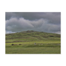 Cox Tor, Dartmoor, Devon