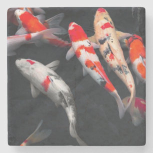 Coy Fish Stenunderlägg