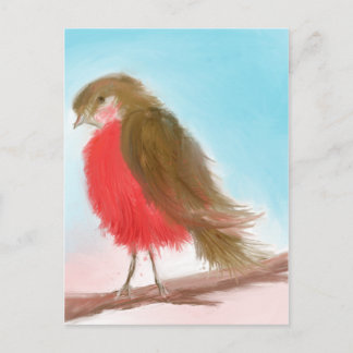 Coy Robin Postcard Vykort