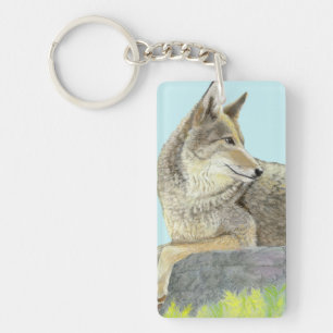 Coyote