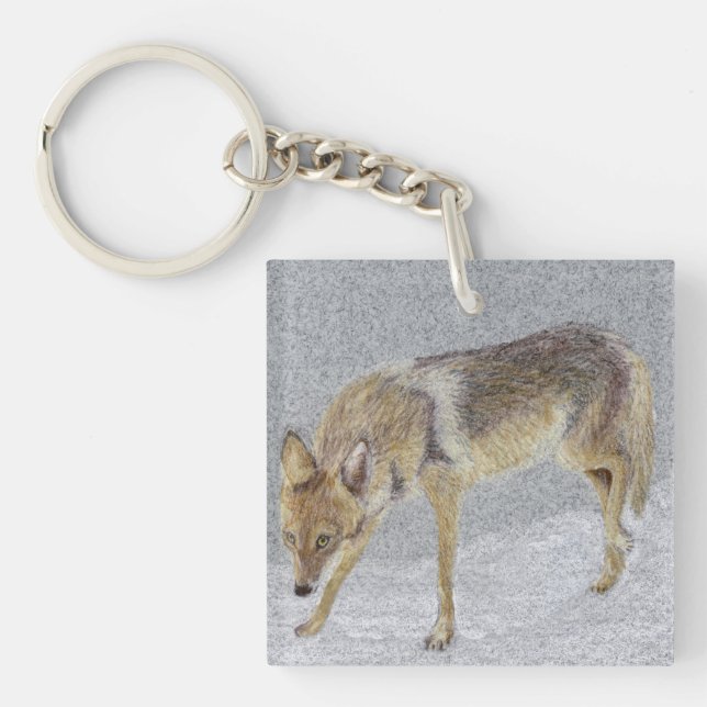 Coyote (Framsidan)