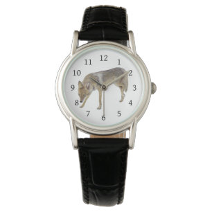 Coyote Armbandsur