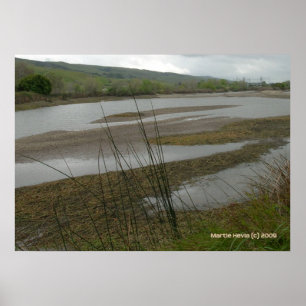 Coyote Bäck Rainy Day Poster