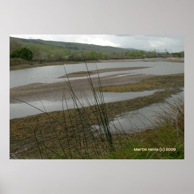 Coyote Bäck Rainy Day Poster (Framsidan)
