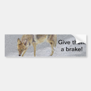 Coyote Bildekal