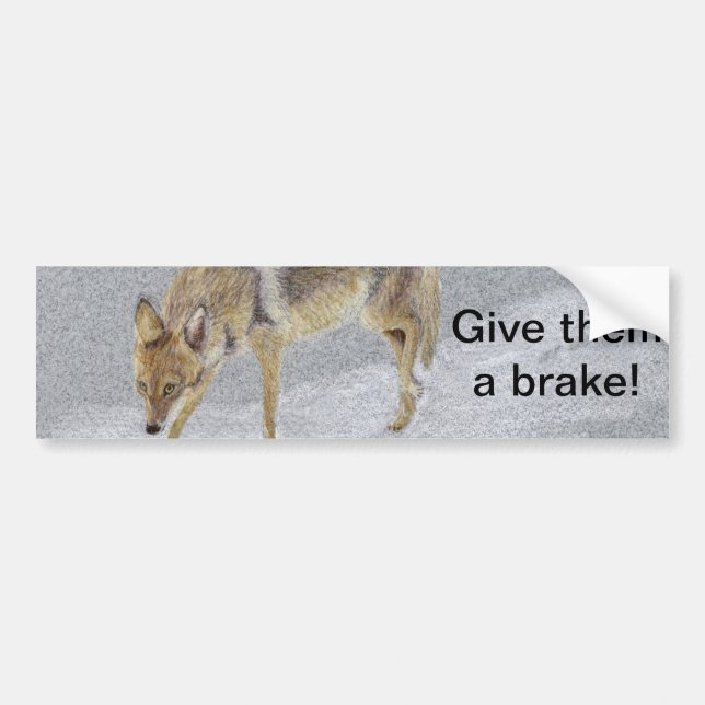 Coyote Bildekal (Framsidan)