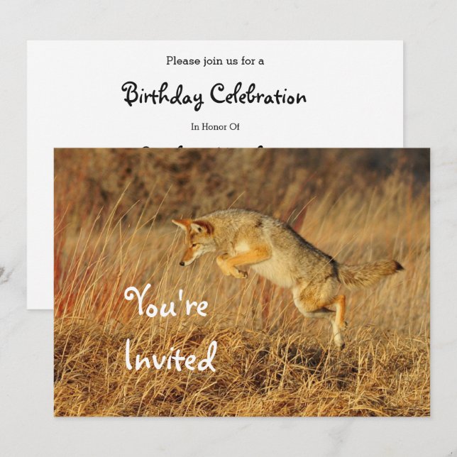 Coyote Brown Autumn Grass Photo Birthday Inbjudningar (Fram/baksida)