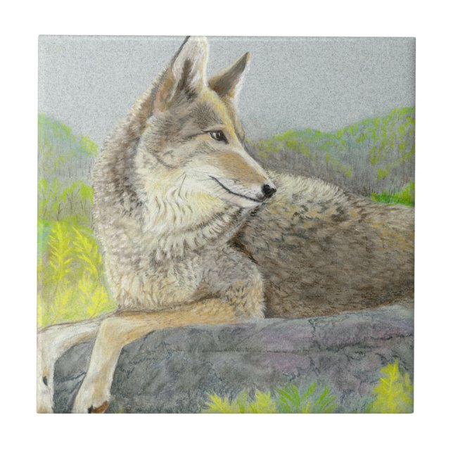 Coyote Ceramic Tile Kakelplatta (Framsidan)