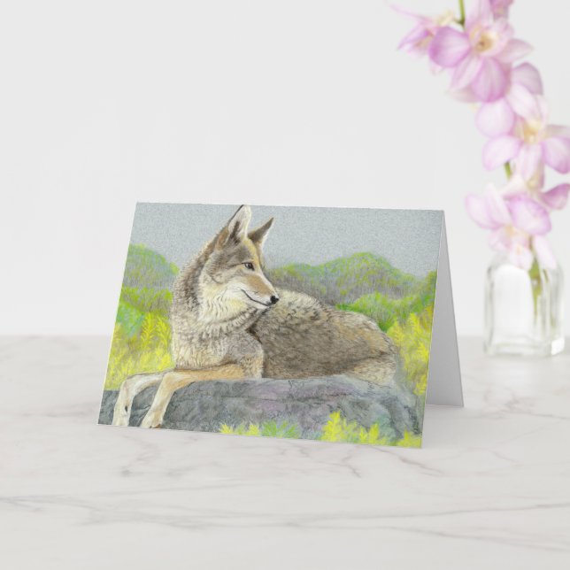 Coyote Fars dag-kort Kort (Orkide)