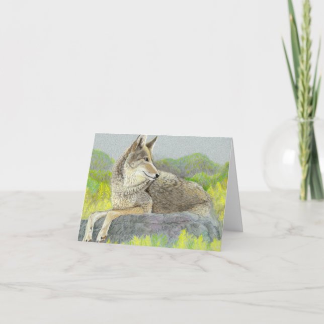 Coyote Folke-tackkort Tack Kort (Framsida)