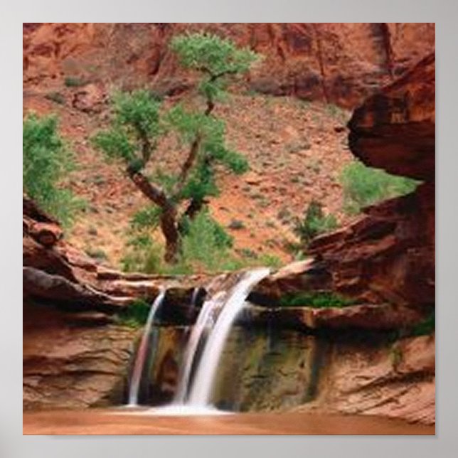 Coyote Gulch Falls Poster (Framsidan)