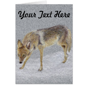 Coyote Hälsningskort