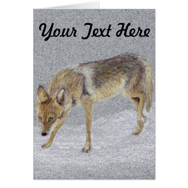 Coyote Hälsningskort (Framsidan)