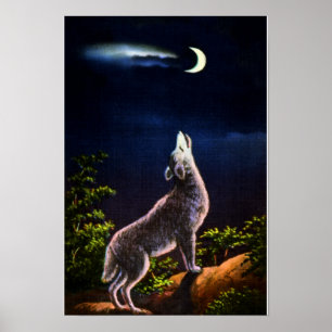 Coyote Howling vid Måne Poster