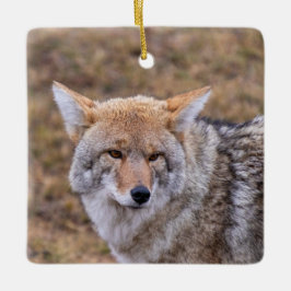Coyote Hund Ornament