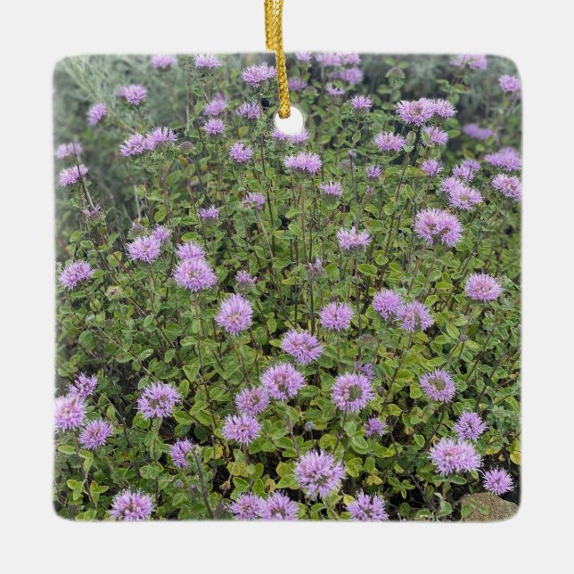 Coyote Mint Julgransprydnad Keramik (Framsida)