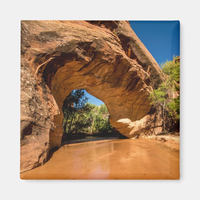 Coyote Natural Bridge - Coyote Gulch - Utah Magnet (Framsidan)