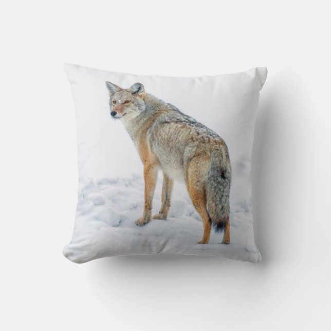 Coyote på vakt i snö kudde (Framsida)