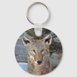 Coyote Porträtt Nyckelring