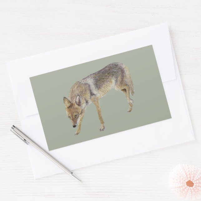 Coyote Rektangulärt Klistermärke (Kuvert)