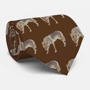Coyote Slips