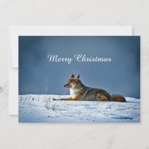 Coyote Snö Photo jul Flat Julkort