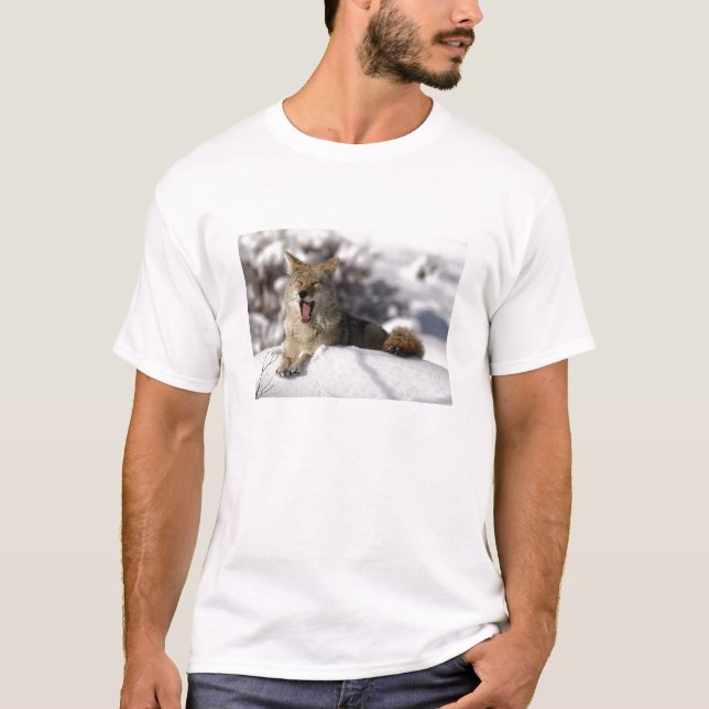 Coyote Snö Yawn T-shirt (Framsida)
