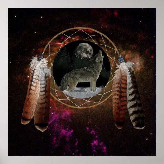 Coyote Spirit Poster (Framsidan)