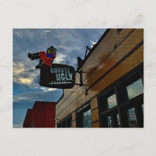 Coyote Ugly Vykort (Framsida)