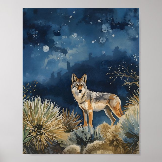 Coyote under stjärnorna öken natt poster (Framsidan)