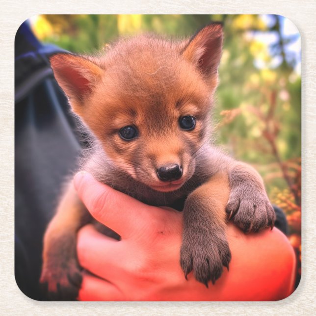 Coyote Unge Underlägg Papper Kvadrat (Framsidan)