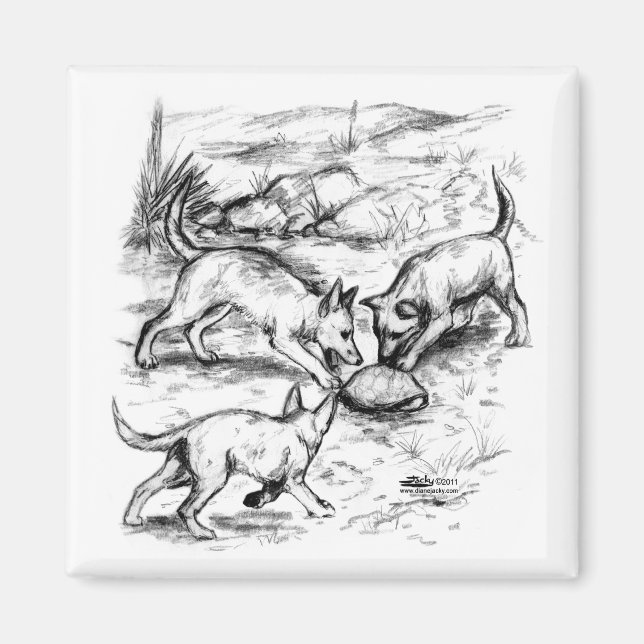 Coyote Valper Magnet (Framsidan)