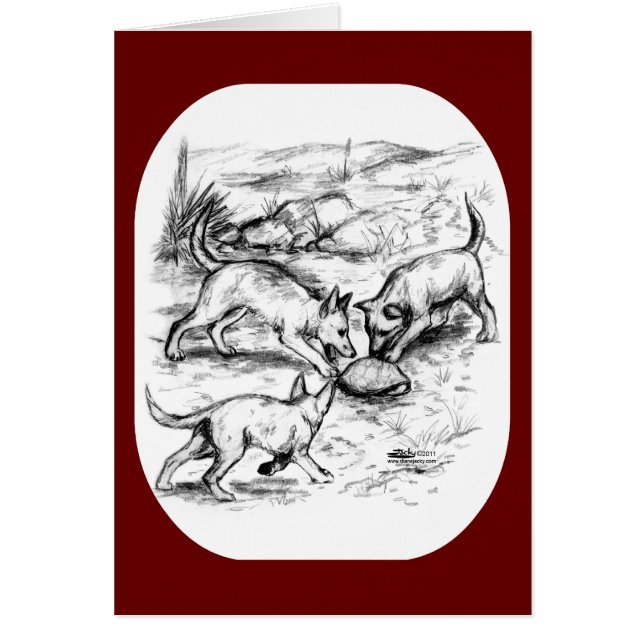 Coyote Valper OBS Kort (Framsidan)