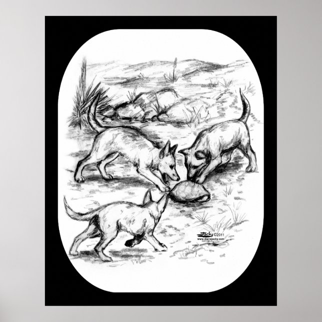 Coyote Valper Poster (Framsidan)