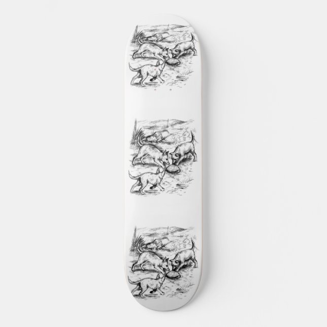 Coyote Valper Skateboard Bräda 19,5 Cm (Framsida)