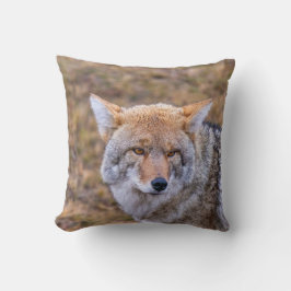 Coyote Vild Hund Pillow Kudde