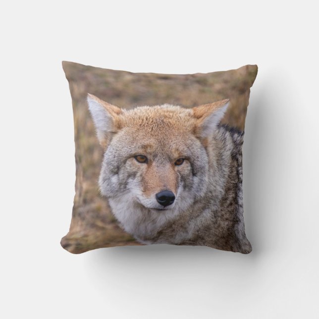Coyote Vild Hund Pillow Kudde (Framsida)