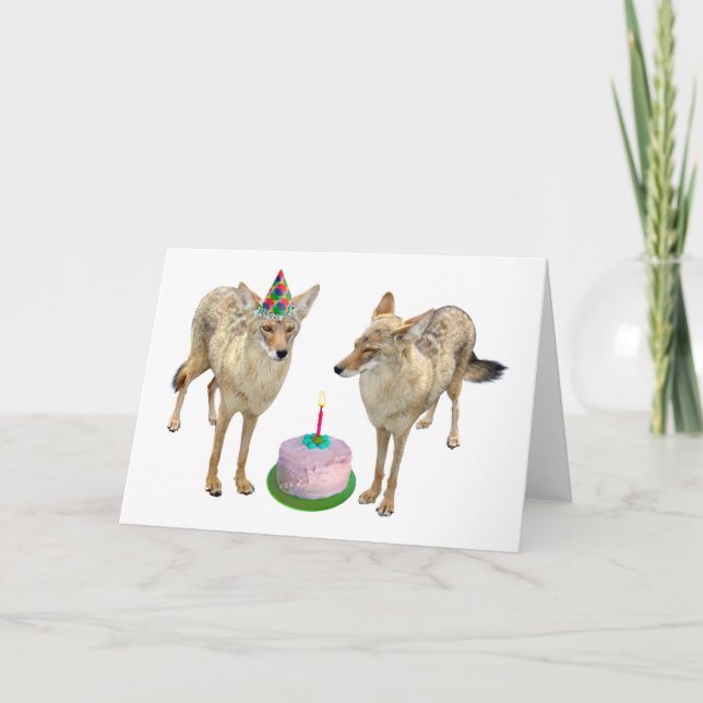 Coyotes Birthday Card Kort (Framsida)