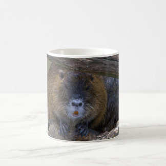 Coypu Kaffemugg