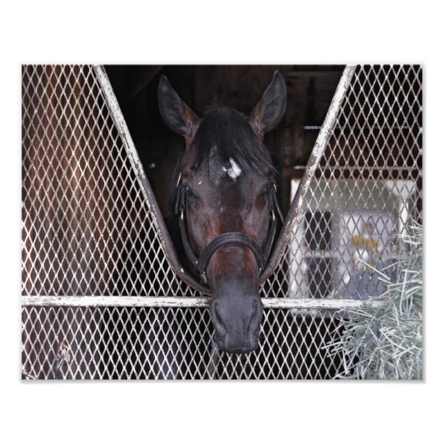 Cozmic One vid Historic Saratoga Fototryck (Framsidan)