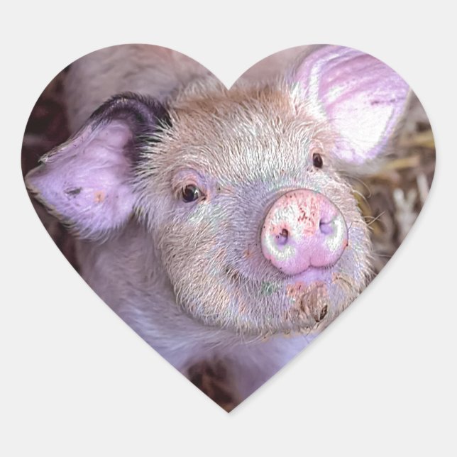 Cozmico Hjärtformat Klistermärke (Framsida)