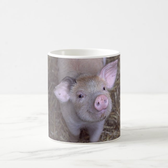 Cozmico Kaffemugg (Center)