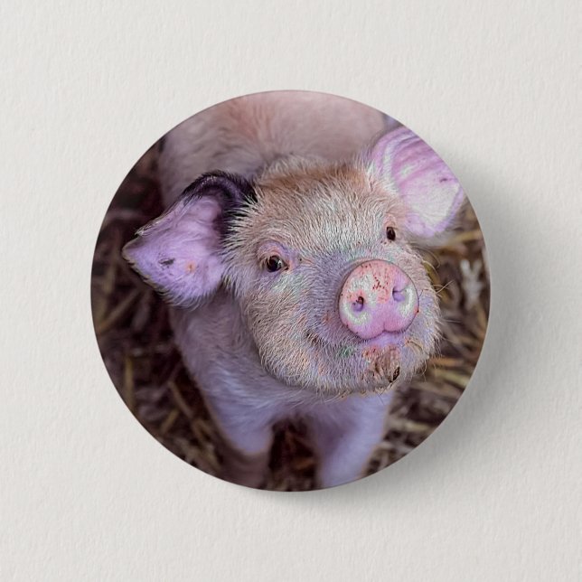 Cozmico Knapp (Framsida)