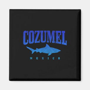 Cozumel Beach Mexico Scuba Diver Shark Diving Vint Magnet