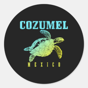 Cozumel Beach Mexico Sea Turtle Surfer Scuba Divin Runt Klistermärke