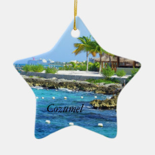 Cozumel Chankanaab parkerar reser julprydnaden Julgransprydnad Keramik