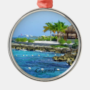 Cozumel Chankanaab parkerar reser julprydnaden Julgransprydnad Metall