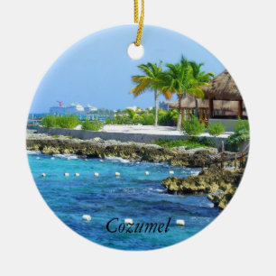 Cozumel Chankanaab parkerar reser prydnaden Julgransprydnad Keramik