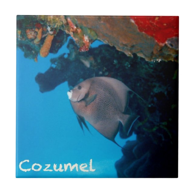 Cozumel havsängel kakelplatta (Framsidan)